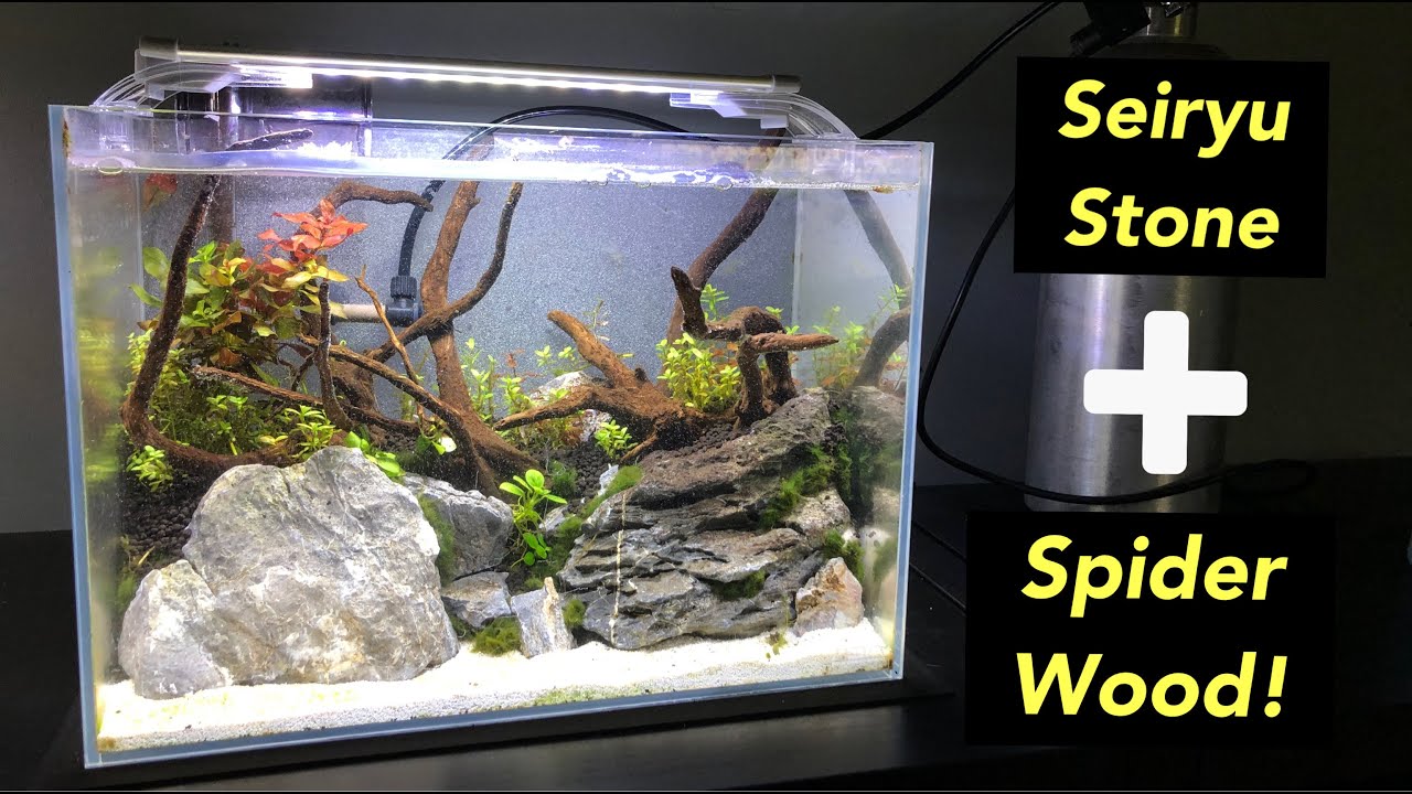 Freshwater Aquarium Decor: Spiderwood For Freshwater Aquariums