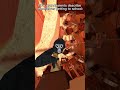 How grandparents describe themselves going to school #vr#subscribe#shorts#funnyskits#gorillatag