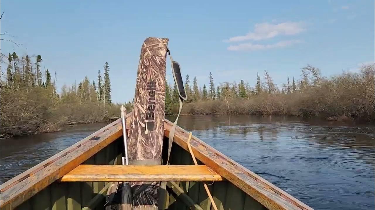 Peawanuck nature sounds may 2023 part 2 YouTube