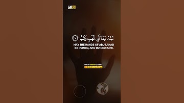 سورة المسد Surat Al-Masad #عبدالولي_الاركاني #abdulwali_alarkani
