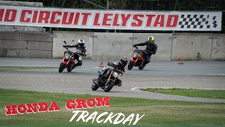 Honda Msx125 Grom Trackday