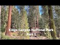 Exploring Kings Canyon National Park, California | Part 1: The Sequoias