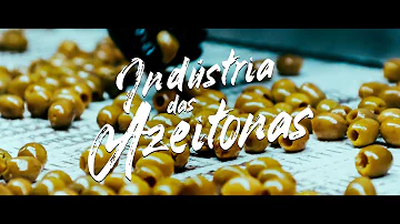 Como são feitas as azeitonas pretas?