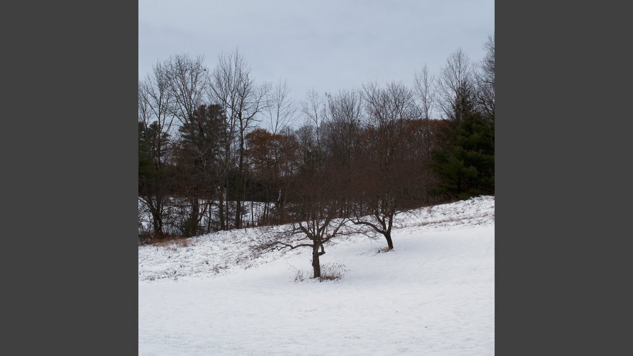 Guarda Reflections su YouTube Guarda Reflections su YouTube