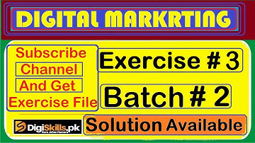 Digiskills 2.0 Digital marketing Exercise 3 batch 2 complete Exercise of digital marketing solution