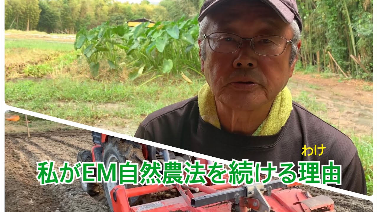 EM自然農法】私がEM自然農法を続けるわけ - YouTube