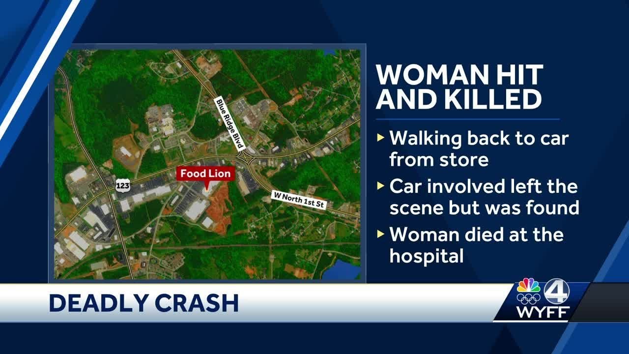 South Carolina woman hit, killed in front of grocery store, coroner ...