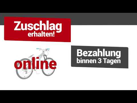 Kleine Zeitung Online-Auktion - Bezahlung