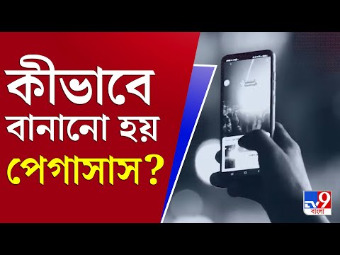 ভিডিও: কীভাবে ইন্ট্রোভার্ট বাঁচবেন