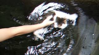 DSCF2324