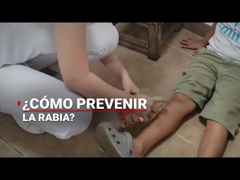 Video: Pet Talk: Prevención de la rabia