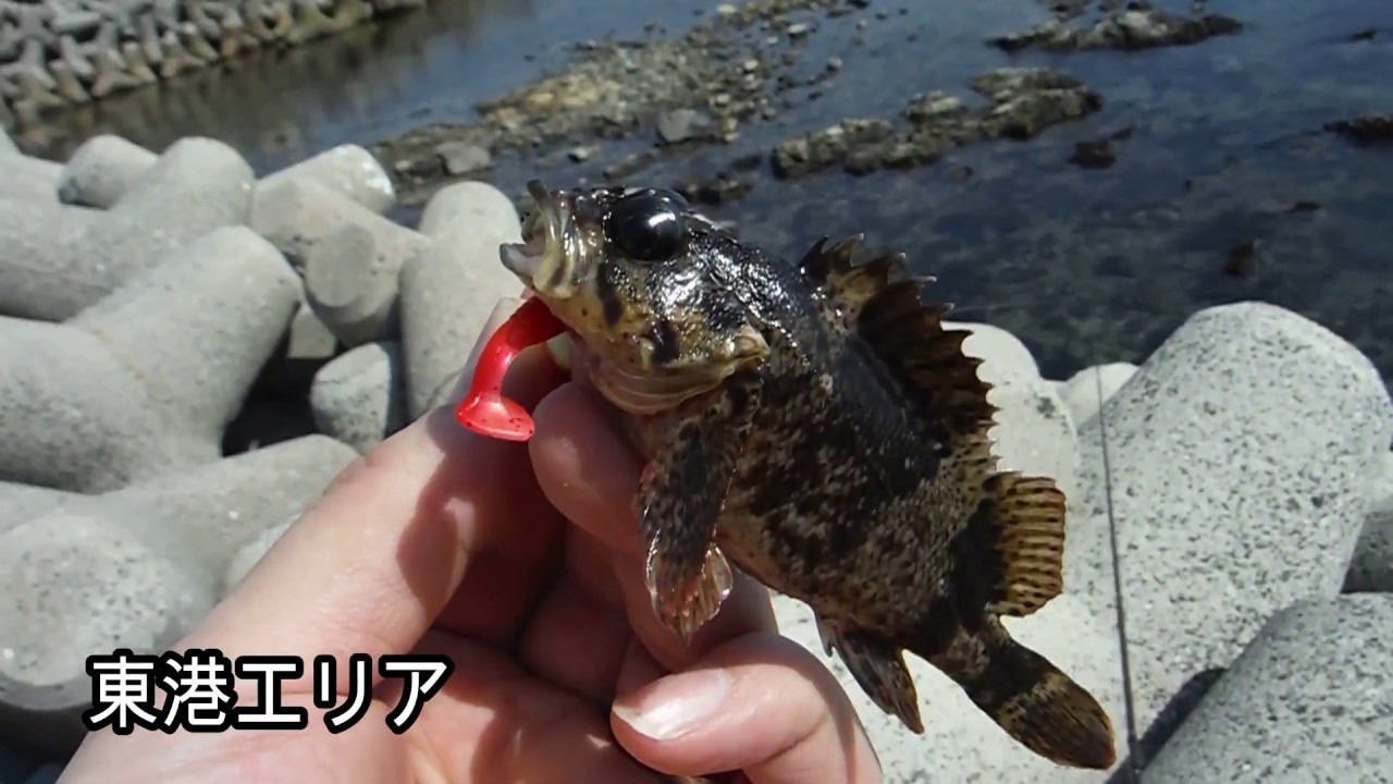 知多半島穴釣り つぶてヶ浦 Youtube