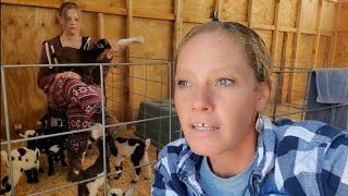 What The Heck Is That About? by Blue Cactus Dairy Goats 14,459 views 4 days ago 5 minutes, 30 seconds