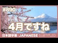 字幕|#890 4月ですね / EASY JAPANESE PODCAST