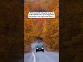 New Hampshire might be the best color during autumn we've seen 🍁 #travel #newhampshire #roadtrip