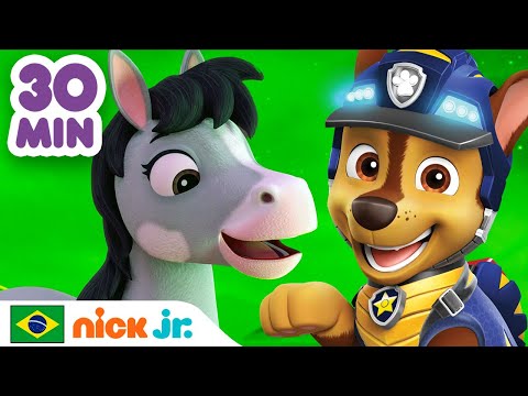 Patrulha Canina | 30 MINUTOS de resgates de animais fofinhos | Nick Jr. em Português