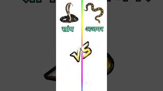 सांप VS अजगर | snake fact video | ajgar snake fact | amazing fact video| fact shorts youtubefact