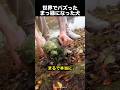 「ここが僕の沼だ！」ワンちゃんの行動が可愛すぎた！