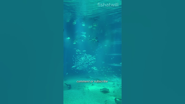 Osaka Aquarium Kaiyukan