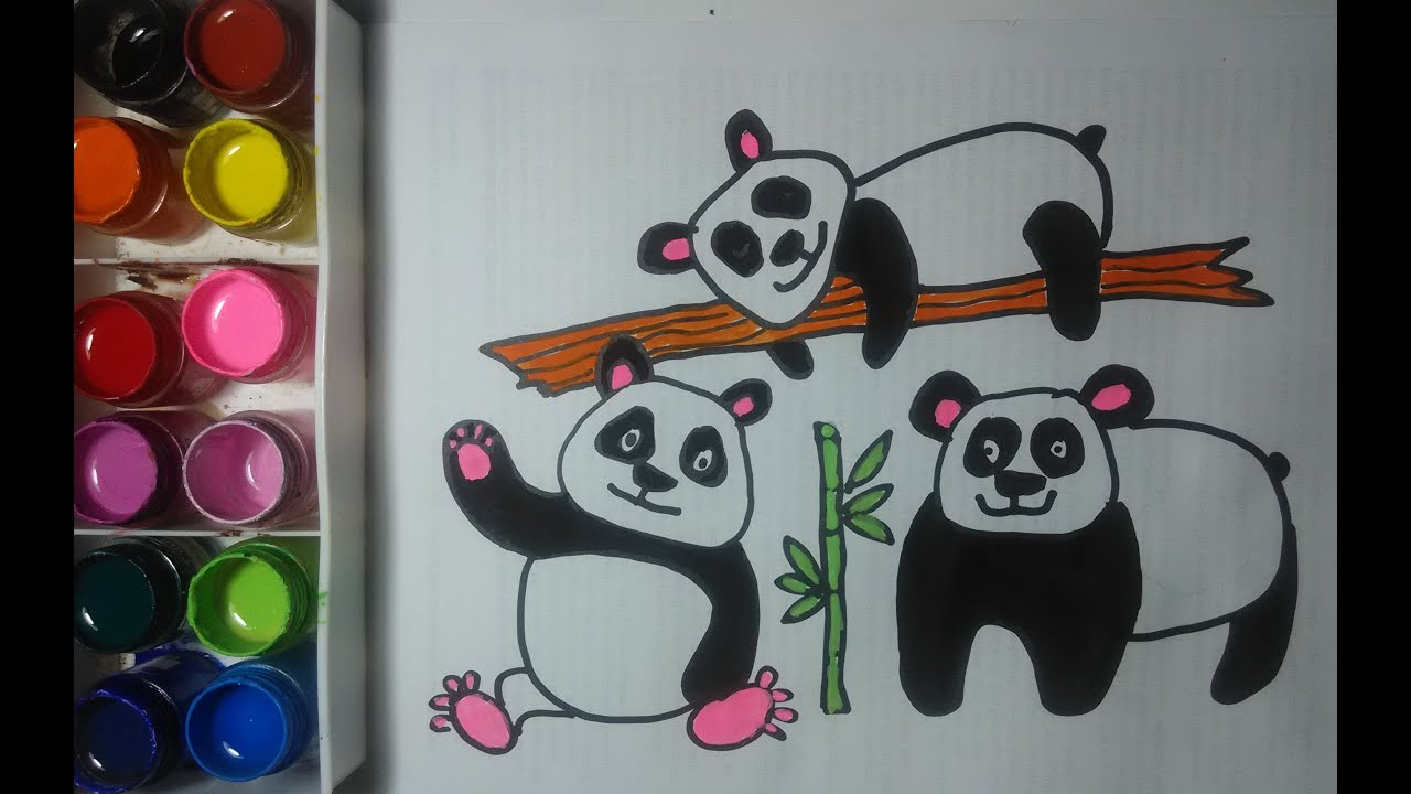 Menggambar Dan Mewarnai 3 Ekor Panda Imut Dan Lucu YouTube