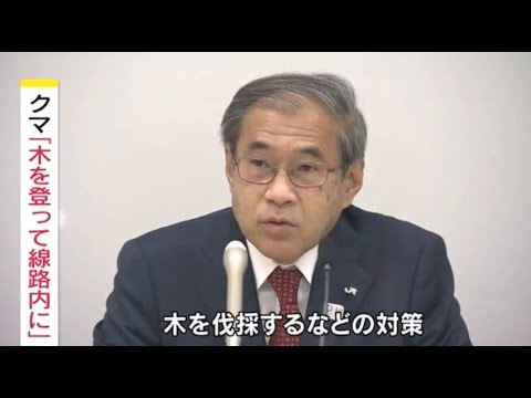 クマ「木を登ってフェンス乗り越え線路内に」北陸新幹線と衝突 軽井沢ー佐久平間 長野県(動物愛誤)(製造車禍.傷人.人身被害)(アニマルホーダー.動物囤積症.Animal Hoarding)(狂犬病)