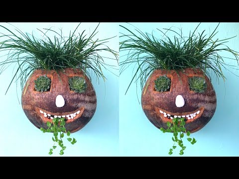 Video Làm chậu hoa từ quả dừa khô hình mặt quỷ | Make flower... - youtube