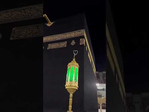 نشيد وديلي سلامي يا رايح للحرم نشيد جميل جدا حالات واتس اناشيد دينيه