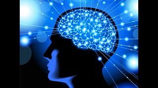 Brain Plasticity to Improve Function