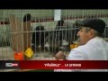 Expoziție de păsări și animale mici la Satu Mare