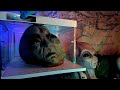 Beginning of video