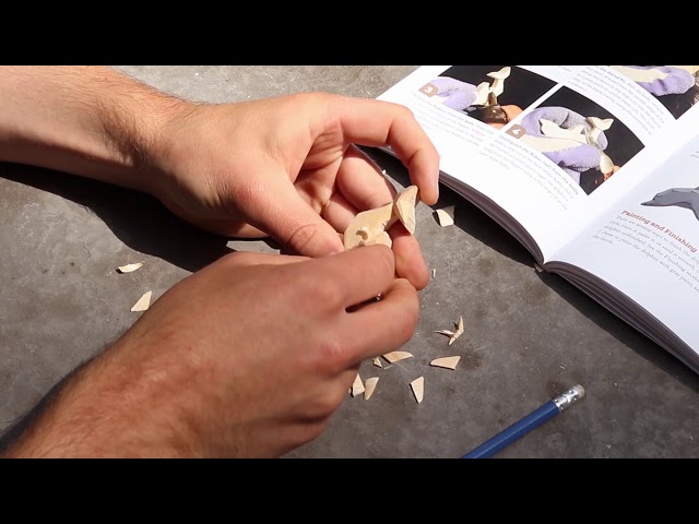 Picking the Best Wood for Whittling and Wood Carving for Beginners 