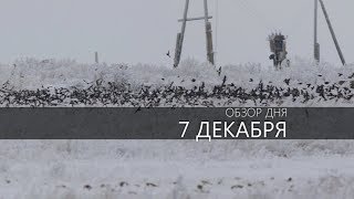 Обзор Дня 7 Декабря