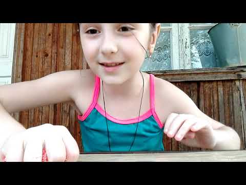 ჩვენი ტყლარწები