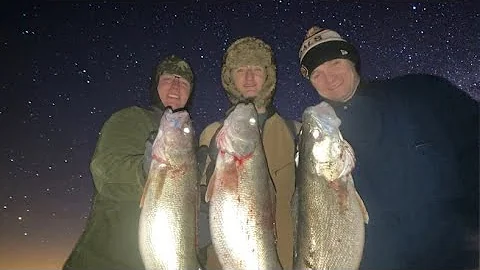 Night Time Walleye Fishing!! Huron Pier (Catch Clean and Cook) How to Make Walleye Wings!