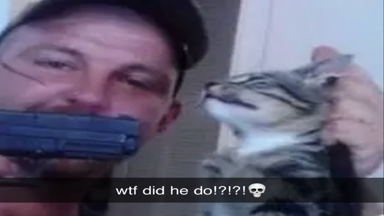 Memes that will make you laugh very loud… - YouTube