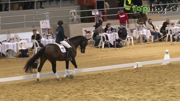www.tophorse.com...  | Advanced Dressage Training ...