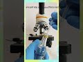 शराब खून में जाकर क्या करता है? 🔬 आइए सूक्ष्म स्तर पर देखें!