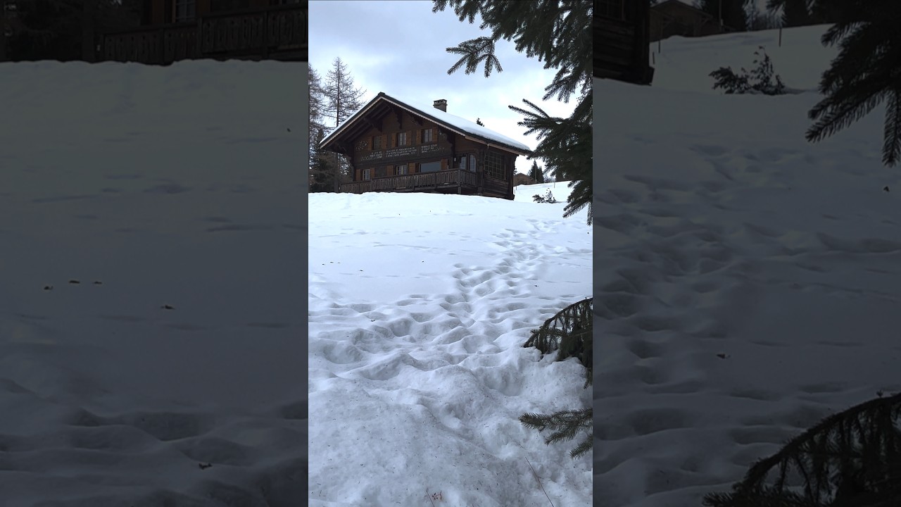 Snowy roads, alpine silence, pure Swiss magic ❄️