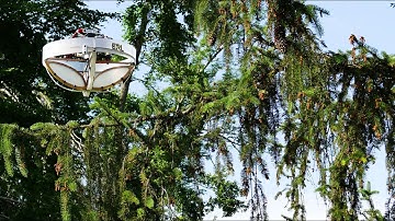 Special drone collects environmental DNA from trees