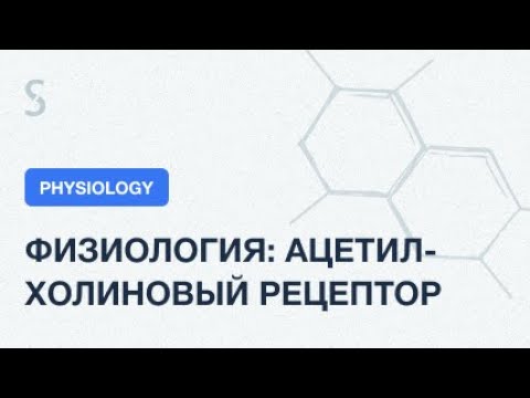 USMLE Step 1 - Физиология: Строение ацетилхолинового рецептора