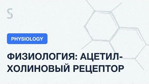 USMLE Step 1 - Физиология: Строение ацетилхолинового рецептора