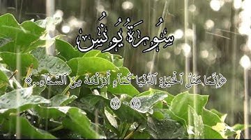مقطع: ﴿إنما مثل الحياة الدنيا كماء أنزلناه من السماء..﴾ سورة يونس ٢٤ - ٢٧ || مُـسْـتَـنِـيـر