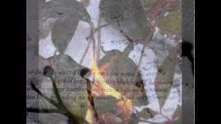 Thoughts on Writing: The Sanctity of the Moment