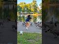 She dropped everything to save this helpless goose 👏❤️ Thanks @socnan26のサムネイル