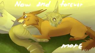 You'll be in my heart | Warriors PMV MAP | part 7