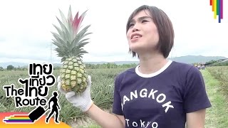 เทยเที่ยวไทย | เป็นคนมีความรู้ เรียนมาค่ะ