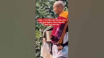 chiều 17/9 triệu triệu trái tim từ bi yêu kính Ngài,ai cũng khóc #shortvideo #suminhtue