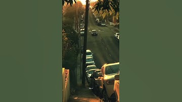 القرآن الكريم 🌿🍀 #trending #اكسبلور #qurantilawat #fypシ゚viral #الرحمن #nature #islamicquotes #viral