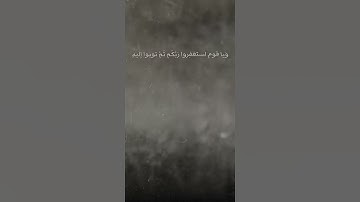 {ويا قوم استغفروا ربكم ثم توبوا إليه} — اجمل حالات واتس اب القرآن الکریم سورة هود رعد محمد الكردي 🤍