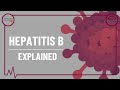 Hepatitis b explained